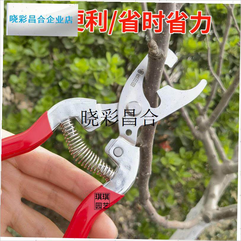 葡萄刻芽剪台湾原装佐川田v树枝刻芽剪刀不锈钢刻芽工具果树刻芽l
