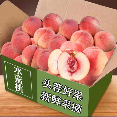 现摘新鲜桃子红美人水蜜桃脆桃