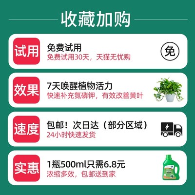 绿萝营养液专用肥料绿箩防黄叶绿罗营业液水培植物家用盆栽通用型