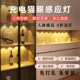 超薄人体无线自粘感应灯家用过道鞋 柜橱柜酒柜充电感应灯条免接线