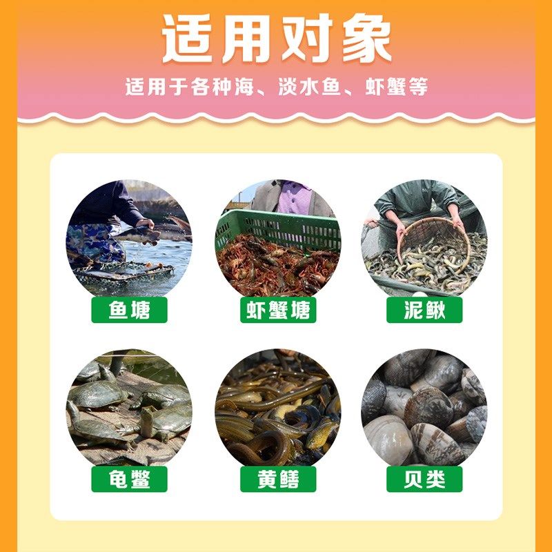 虾青素 水产养殖海洋红酵母鱼虾蟹营养应激保苗育苗诱食亮色促长,宠物/宠物食品及用品,其他益生菌,淘宝优惠券,粉丝福利购,淘宝优惠卷