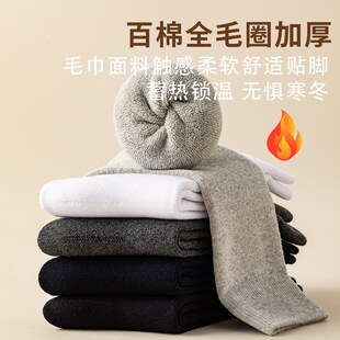 2024新款冬季加厚袜子男全棉保暖男款纯棉秋冬加绒毛圈男士中筒袜