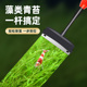 鱼缸刷六合一清洗神器刮藻刀刷子无死角清洁长柄擦玻璃清理内壁