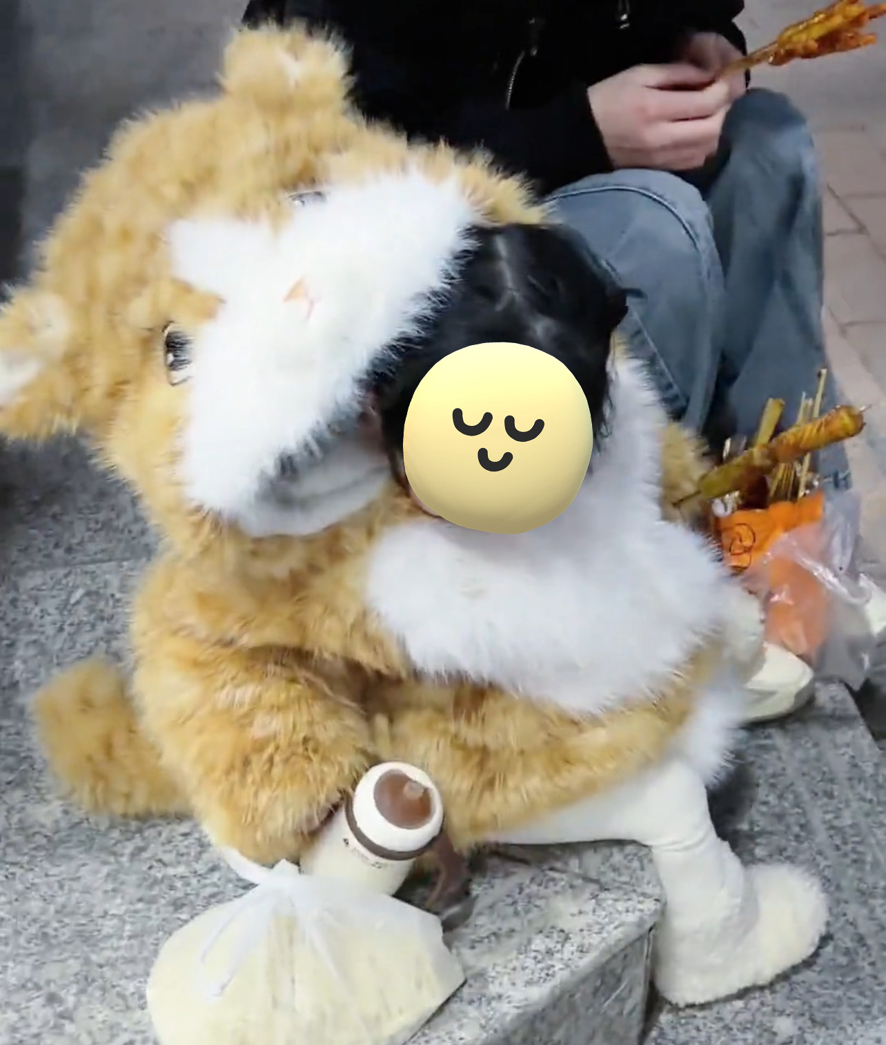 橘色小猫猫咪衣服小孩仿皮草卡通冬季新款2025可爱小猫衣服