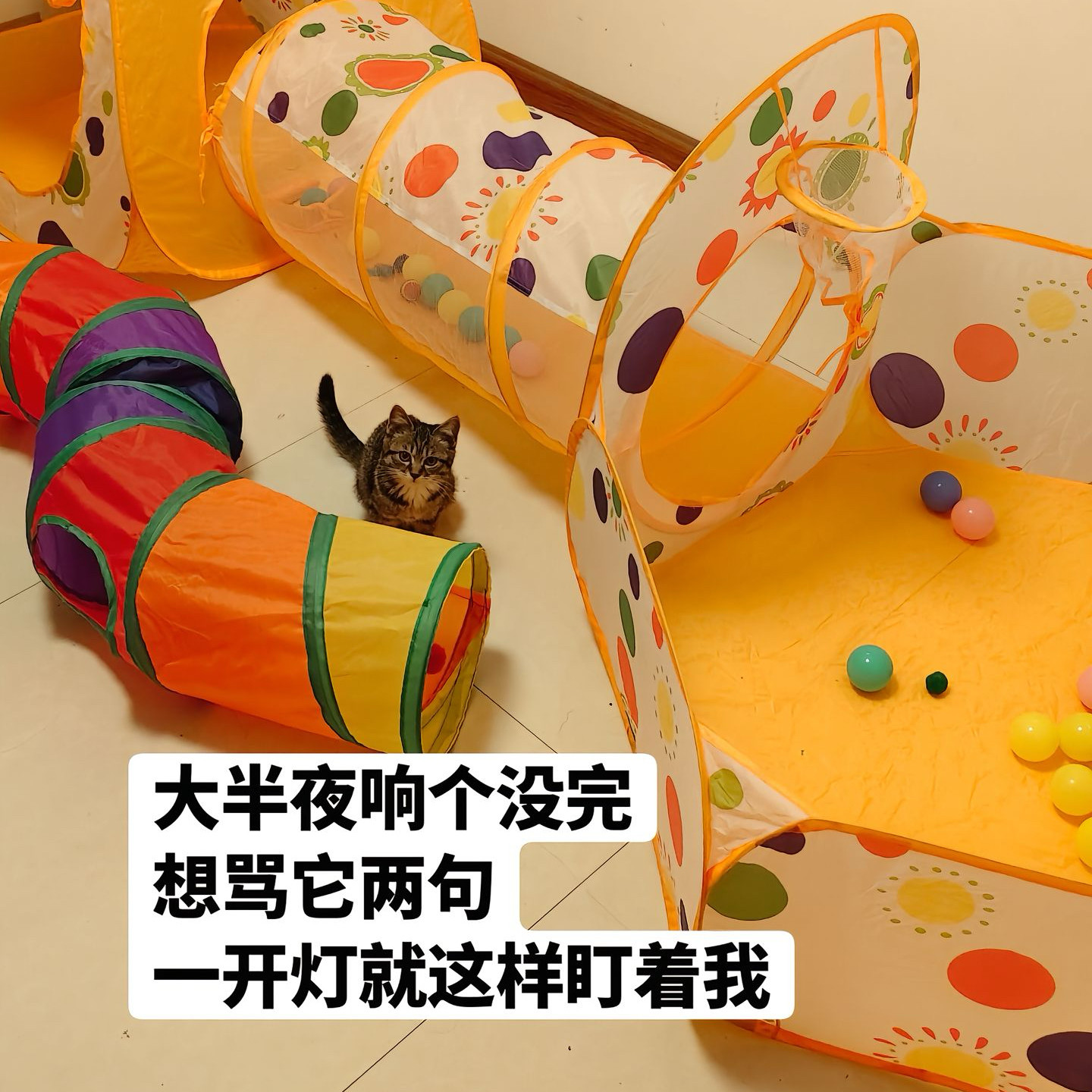 游戏帐篷三合一隧道帐篷海洋球池帐篷儿童玩具帐篷室内外猫咪玩耍