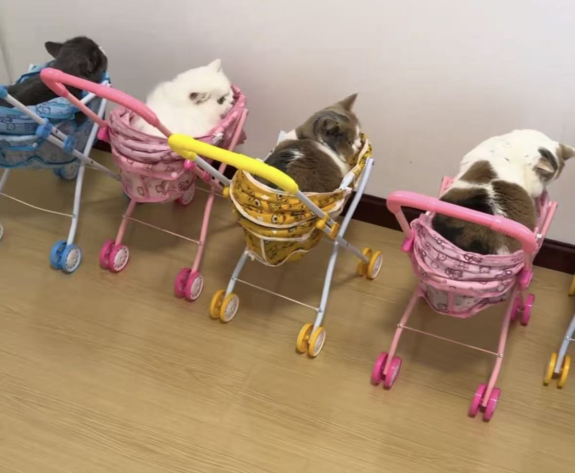 儿童铁推车玩具婴儿童喝水尿尿带娃娃仿真宝宝购物车男女孩过家家