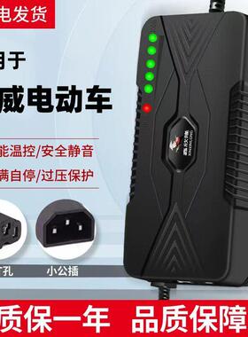 适用国威电动车充电器电瓶车48V12AH60V20AH72新国标小公插通用