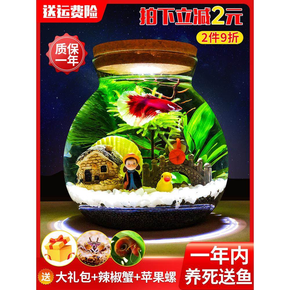 生态瓶微景观水族箱造景斗鱼缸创意缸办公桌面书桌客厅观赏玻璃缸,宠物/宠物食品及用品,生态瓶/创意缸/微景缸,淘宝优惠券,粉丝福利购,淘宝优惠卷