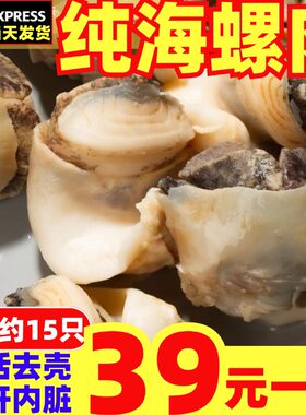 海螺肉鲜活海螺去壳现剥去肝内脏超大纯肉香螺肉冷冻商用海鲜水产