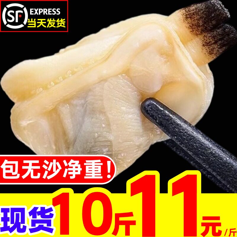 鲜活花甲肉现剥蛤蜊肉花蛤新鲜黄蚬子肉花甲蛏子肉商用海鲜水产