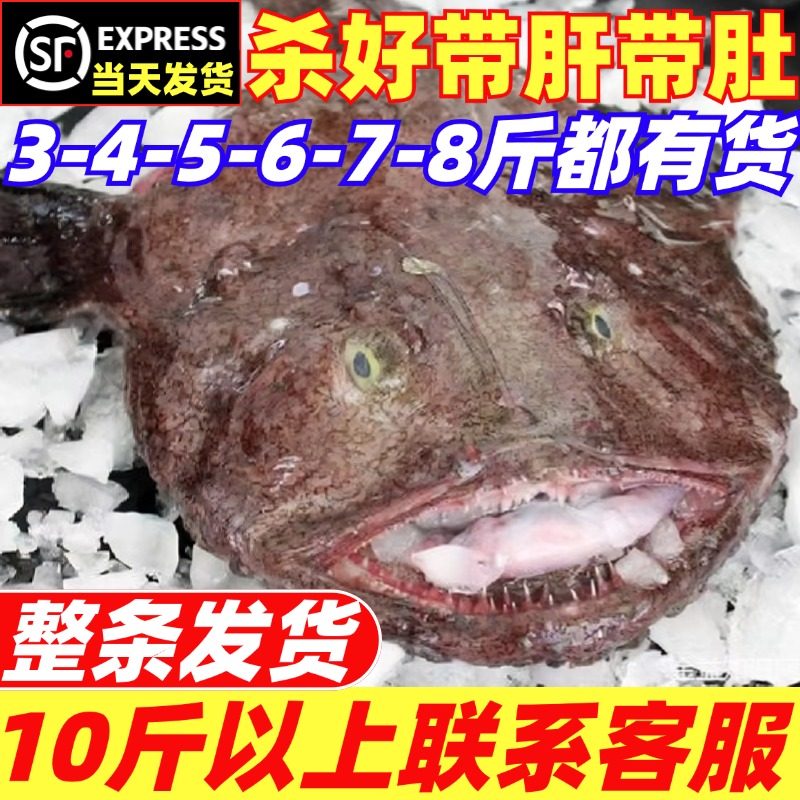 安康鱼新鲜蛤蟆鱼魔鬼鱼冷冻灯笼鱼带肝带肚深海大嘴丑鱼海鲜水产