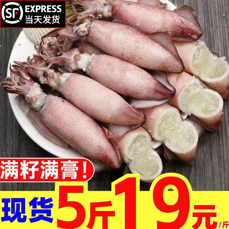 海兔新鲜带籽籽乌超大满籽满膏墨鱼鲜冻乌贼海鲜水产笔管鱼小鱿鱼