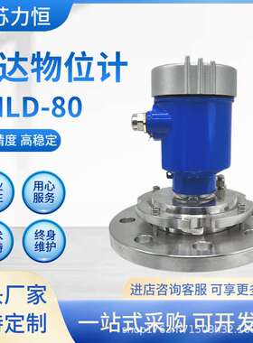 雷达物位计LHLD-80料位计水位化工导波水泥煤仓灰粉尘仪表物位计