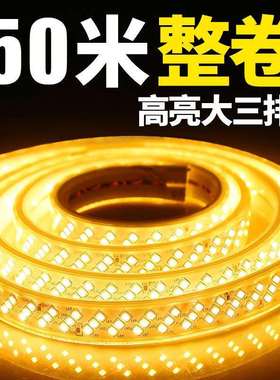 TRIAC户外工程防水超亮灯带霓虹led软灯条三色客厅家用吊顶220v线