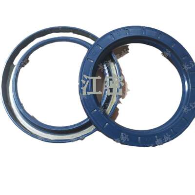 骨架油封 DIN3760 BAUMX7 BAUMSLX7 100-120-12 德国CFW