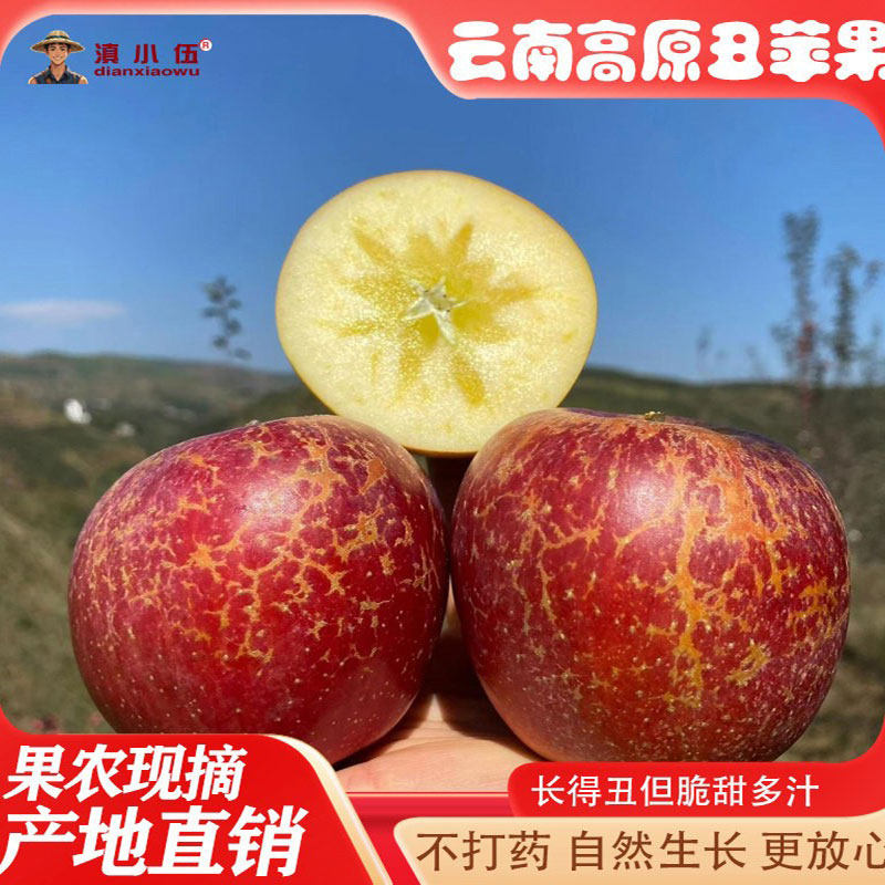 云南丽江宁蒗丑苹果冰糖心苹果高苹果