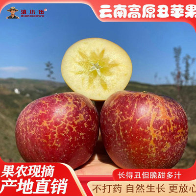 云南丽江宁蒗丑苹果冰糖心苹果高原野生苹果新鲜现摘脆甜多汁包邮