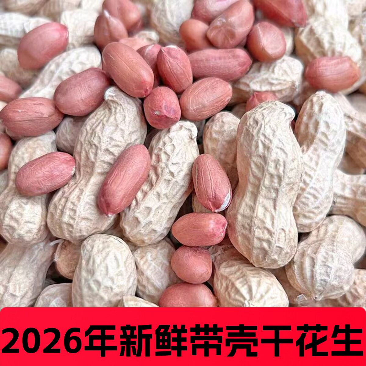 26年生花生带壳晒干大颗粒榨油花生种子粉皮新鲜带皮生花生净重