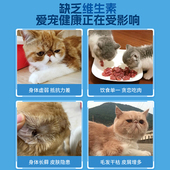 加菲猫专用复合维生素片猫咪防掉毛用品宠物补维生素b营养品零食