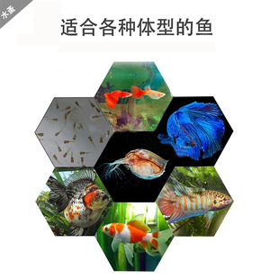 包邮冰冻水蚤小型鱼饲料幼鱼灯科热带鱼鱼食鱼虫冷冻鲜活坏了包赔