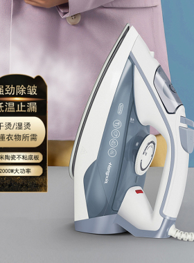 红心手持蒸汽熨斗老牌电熨斗家用干湿两用RH1370服装店裁缝店烫斗