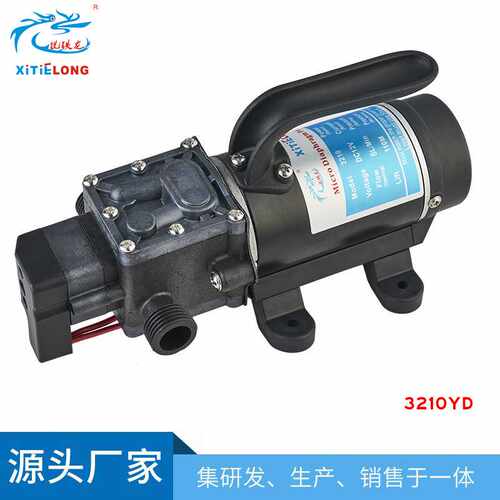 铣铁龙电动高压洗车水泵 12V/24V100W直流自吸智能微型隔膜泵