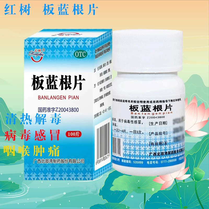 【红树】板蓝根片100片/瓶咽喉肿痛感冒病毒性感冒咽痛清热解毒