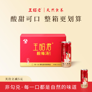 王昭君正宗古法酸梅汤解辣解腻清爽开胃植物饮料酸梅汁24瓶新日期
