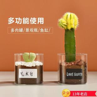 直销家用花瓶玻璃正方形多肉植物微景观生态罐小型花瓶创意玻 新款