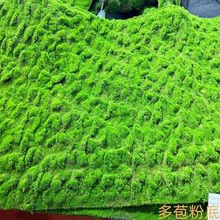 仿真植物绿植墙苔藓青苔地毯草坪景观园林铺设门头水族长廊橱窗用