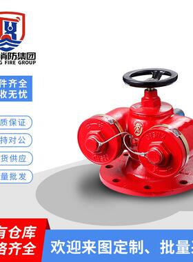 沈牌法兰式地上/地下新型多用式水泵接合器SQD100-1.6 室外地上栓