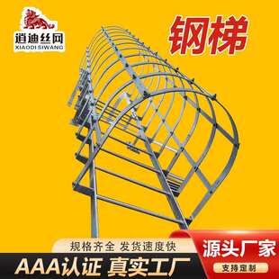 不锈钢爬梯护笼 上屋面钢直梯多段带检修平台 镀锌安全护笼钢爬梯