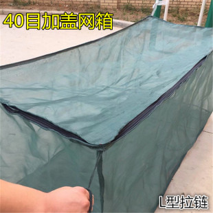 40目加盖养殖箱网箱 黄鳝养殖箱 泥鳅养殖箱 养鱼网箱 养龙虾网箱