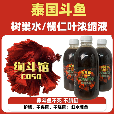 泰国斗鱼树巢水榄仁叶浓缩液红水