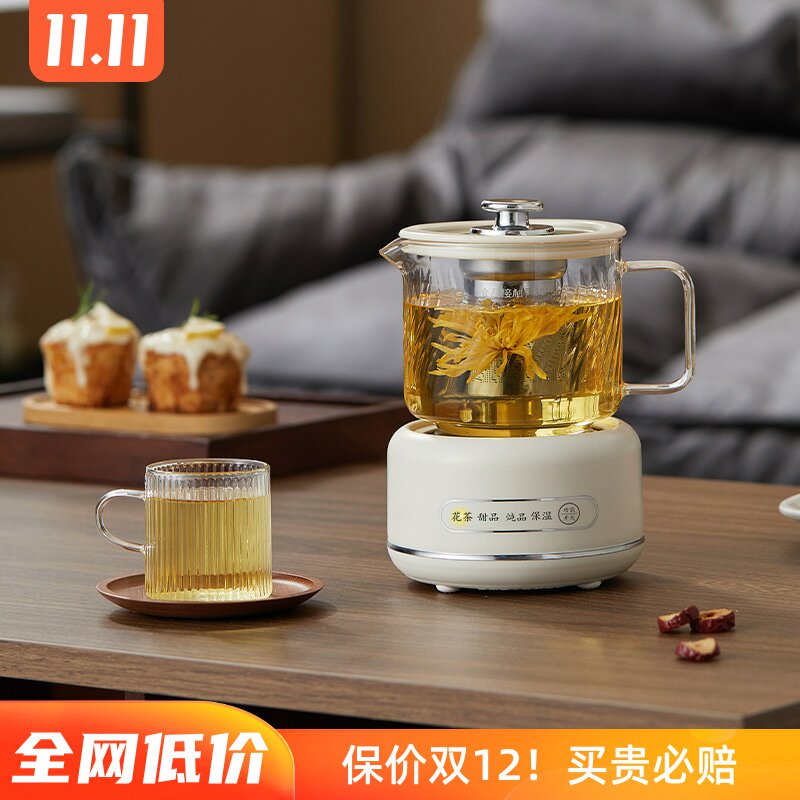 日本进口迷你养生壶小型办公室一人多功能定时煮花茶壶养生电炖杯