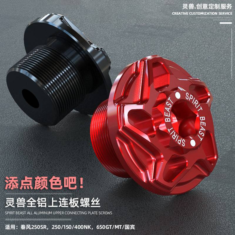 灵兽适用春风上联板改装摩托车
