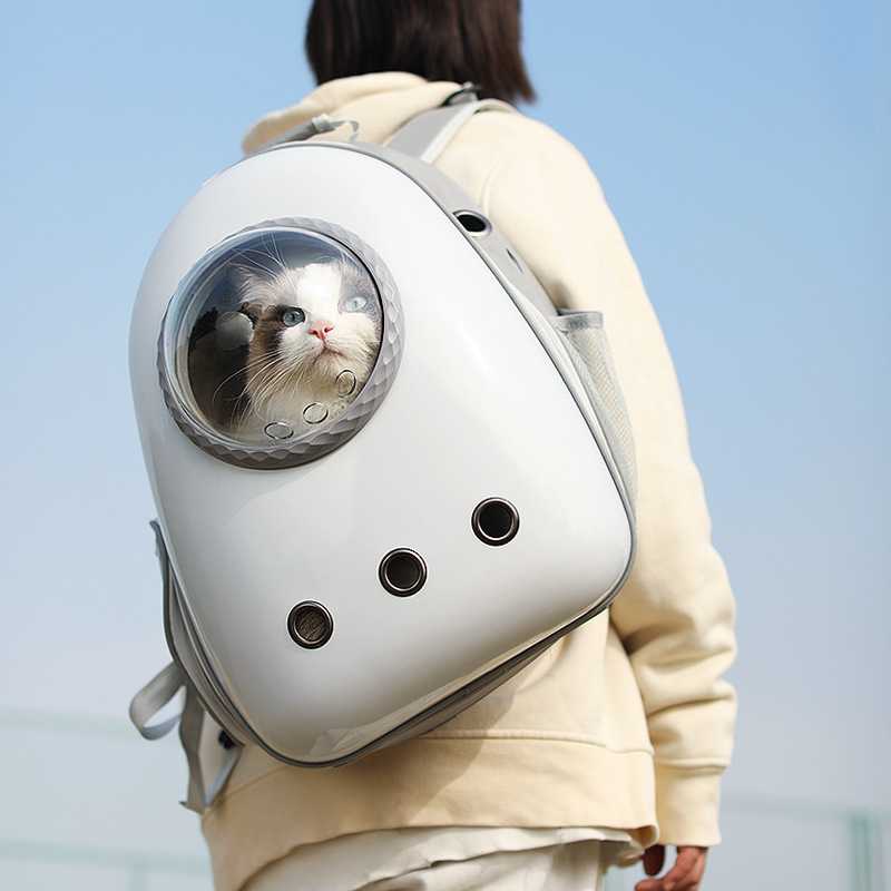 宠物外出透明猫包猫咪透气双肩大