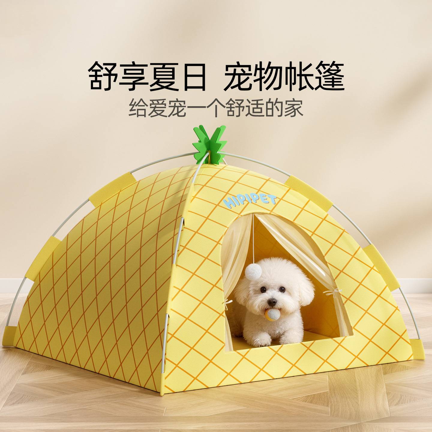 年春夏季宠物窝中小型犬猫窝水果