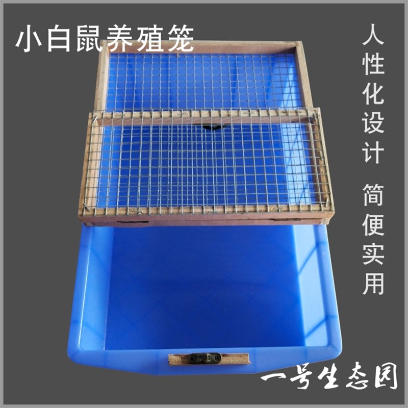 极速新款小白鼠繁殖笼实验鼠笼花枝鼠仓鼠饲养T盒养殖箱简单实用