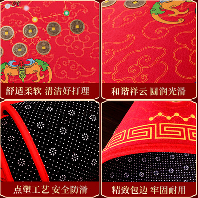 地垫入户门垫门口进门五帝钱w七星九运过门垫玄关防滑垫子家用脚