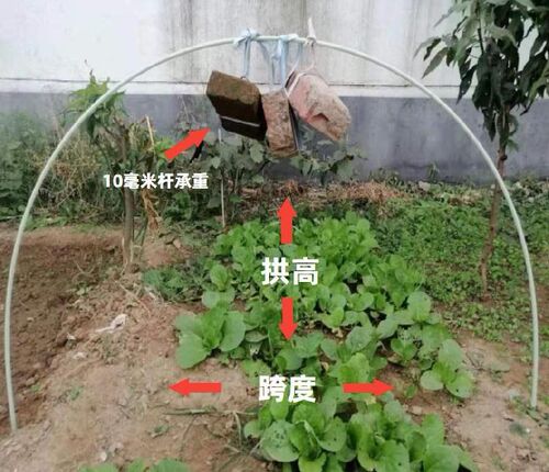 极速小大b拱棚支架纤维棒玻璃钢弹力棒菜棚保温棚2.6Um菜园家用暖