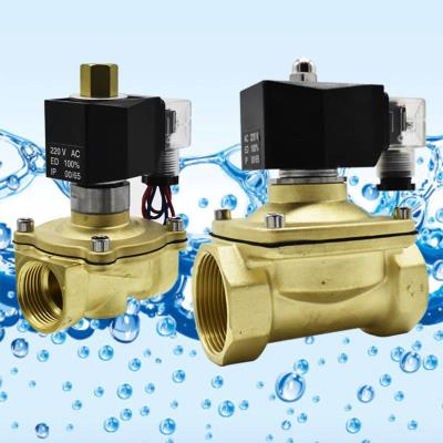 极速4分室外防水i电磁阀水阀防雾常闭220V24V12V6分1寸2寸现货