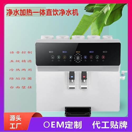 净水器家用厂家加热一体机语音直饮RO纯水机反渗透过滤净水机
