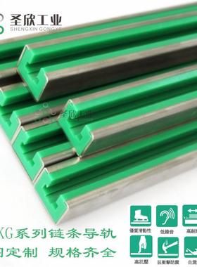 LGTS链条导向件 带C型钢槽链条导轨 3分4分5分6分链条导向槽