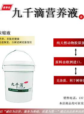 诺普信八方生态大树吊针液九千滴补充树体营养大树移栽工程养护