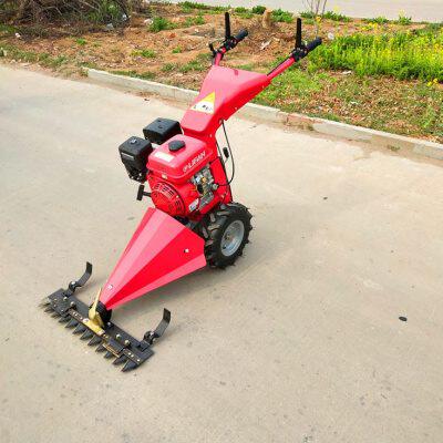 5马力剪草机 手推式草坪机 山地果园除草机型号