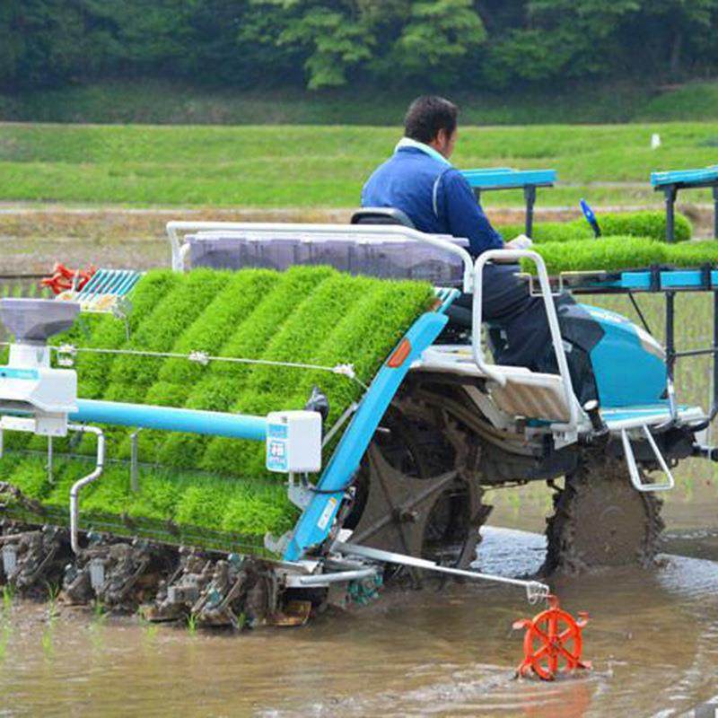销售手扶水稻种植机 全自动汽油稻子插秧机 水田用栽苗机,农机/农具/农膜,播种栽苗器/地膜机,淘宝优惠券,粉丝福利购,淘宝优惠卷