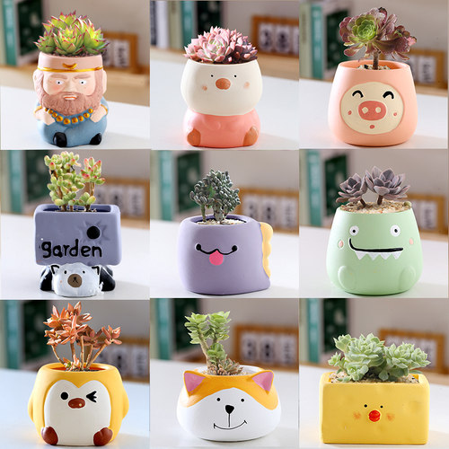 卡通可爱创意特价清仓动物花盆个性多肉植物陶瓷盆大小号组合套装