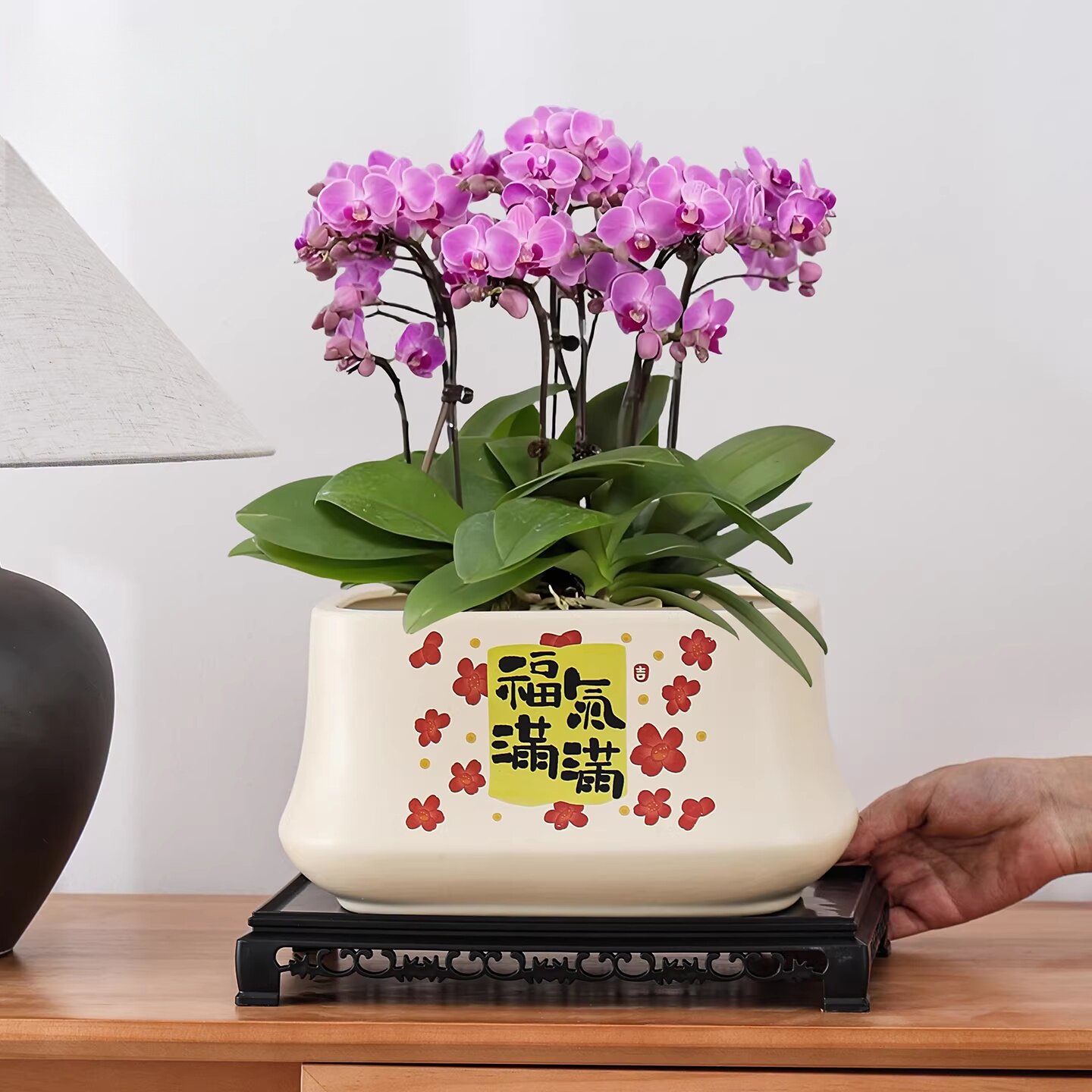 陶瓷花盆家用喜庆年宵花红色简约客厅桌面蝴蝶兰绿萝耐用花盆特价