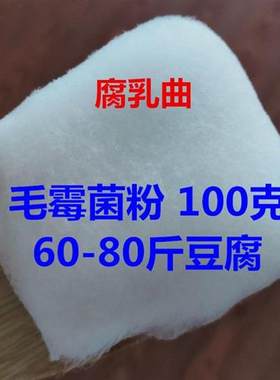 新品腐乳曲毛霉菌种毛豆腐菌粉臭豆D腐霉千张霉豆渣豆腐乳发酵剂
